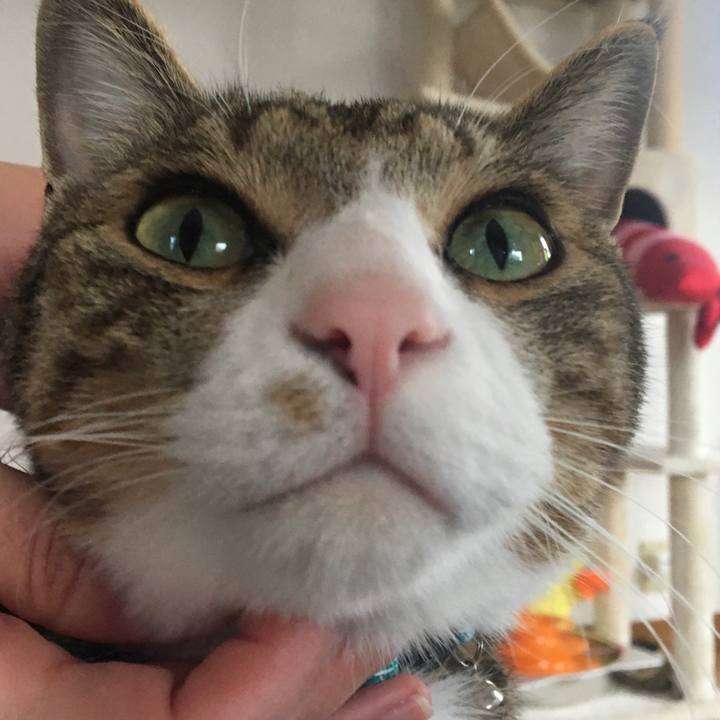 C58545ca 3f14 4028 a80b 06e84bc3b621 1705131489004