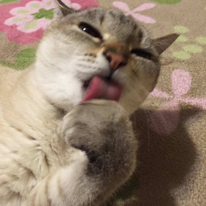 C58551b1 8393 4e92 a2a9 1753b8778769 1516273317320