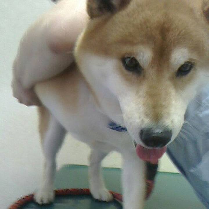 C58566ed d702 430b af2e 134182a45221 1526797884754