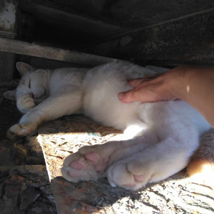 C5856718 a5d7 4b3d a29a 5bc68c875f29 1697186816006