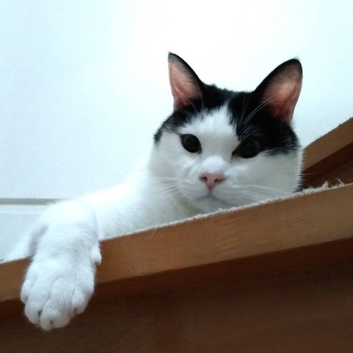 C585845c 6fd2 4963 9dd3 845181e10151 1557659696353