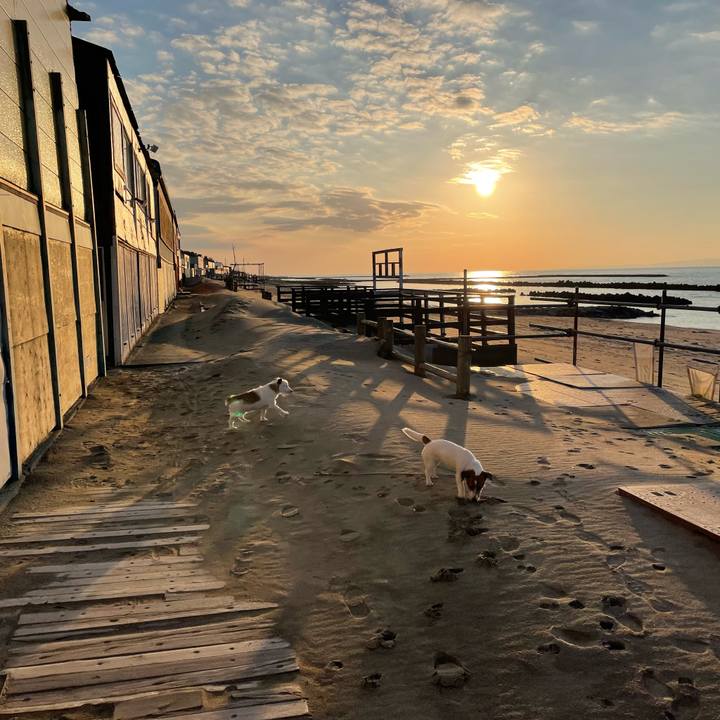 C585bd73 7679 41f6 b3fe 275546273a16 1646210936776