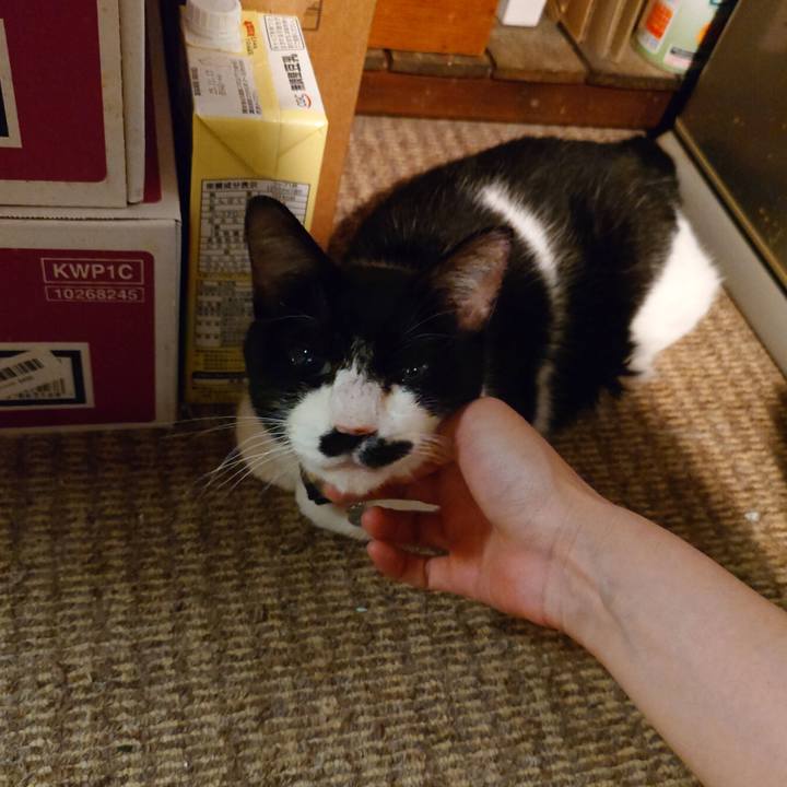 C5860226 0193 402c 95c0 8f8288188189 1758287327998