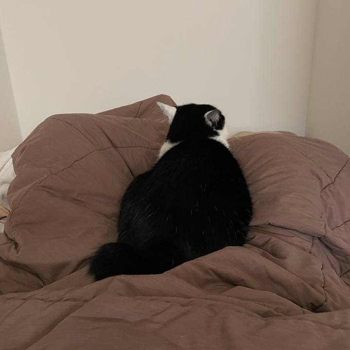 C58617fe 42b3 4fbb a246 f6787474db83 1673922032338