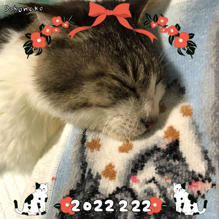 C58622a0 662b 4cb0 9e68 9b5fd8261698 1645541966921