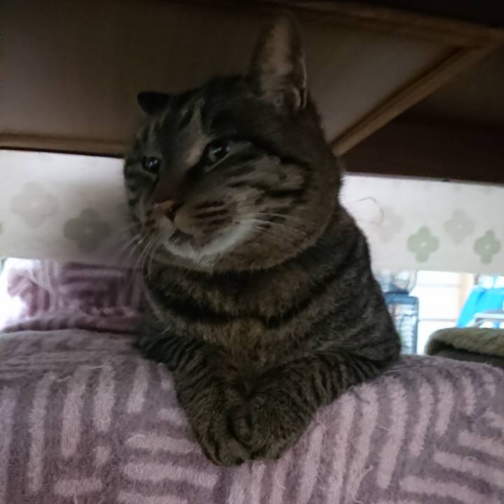 C5862cda f48b 46e6 a73a 2b60dc7379e9 1640917877243