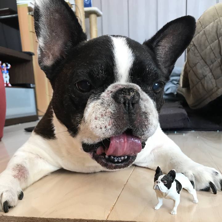 C5864459 cadf 4b86 ac1a 6e51fe224a5f 1510201314341