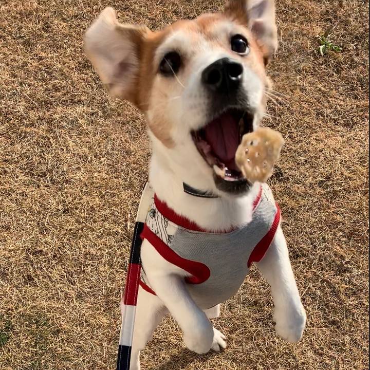 C5864af1 69ec 47b1 bbeb af3e82d7fee3 1547562356085