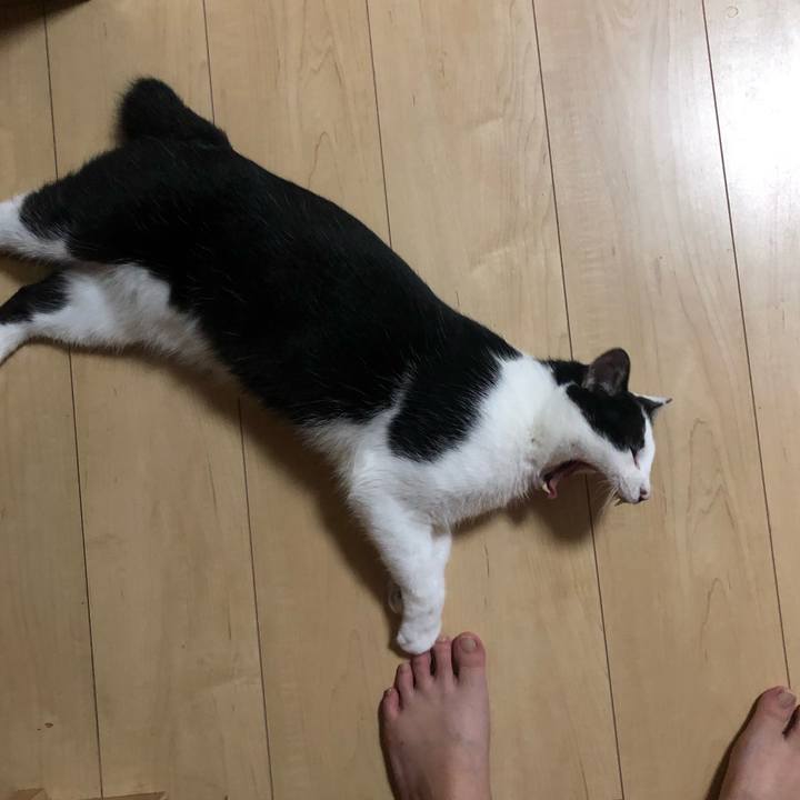 C58670ce d4e1 44f5 8cac 0fefbbd67660 1569426829673