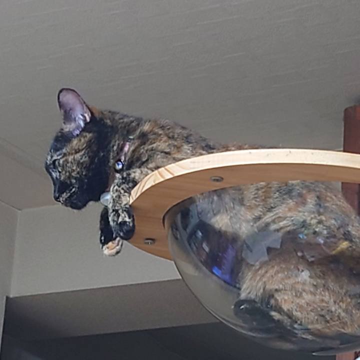 C5869c90 dbf6 44ad 8a8e 12ce88438090 1627272880597