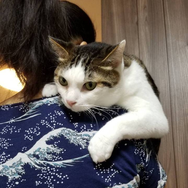 C586b514 56f1 4451 9f95 c95fca674669 1568604644459