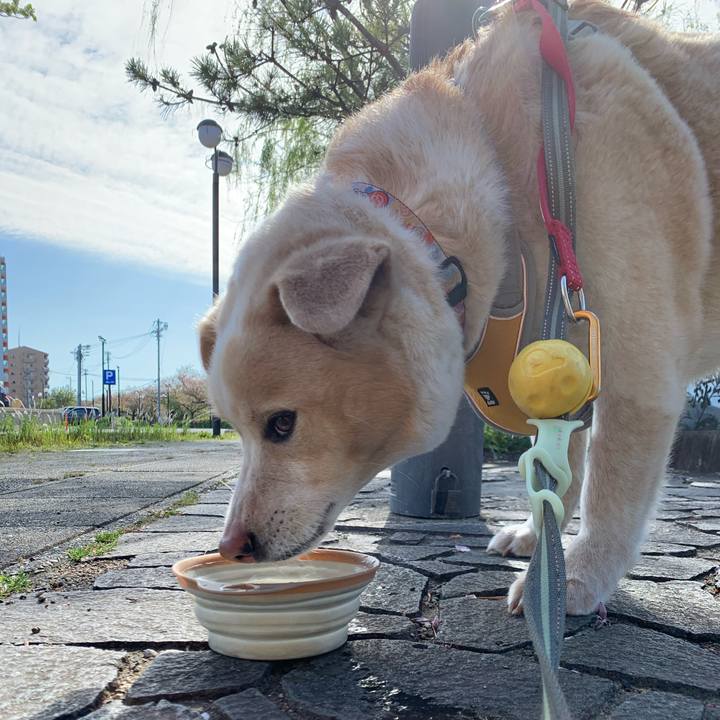 C587380a bf8b 4dab b247 6b35e6f5f218 1587267954019