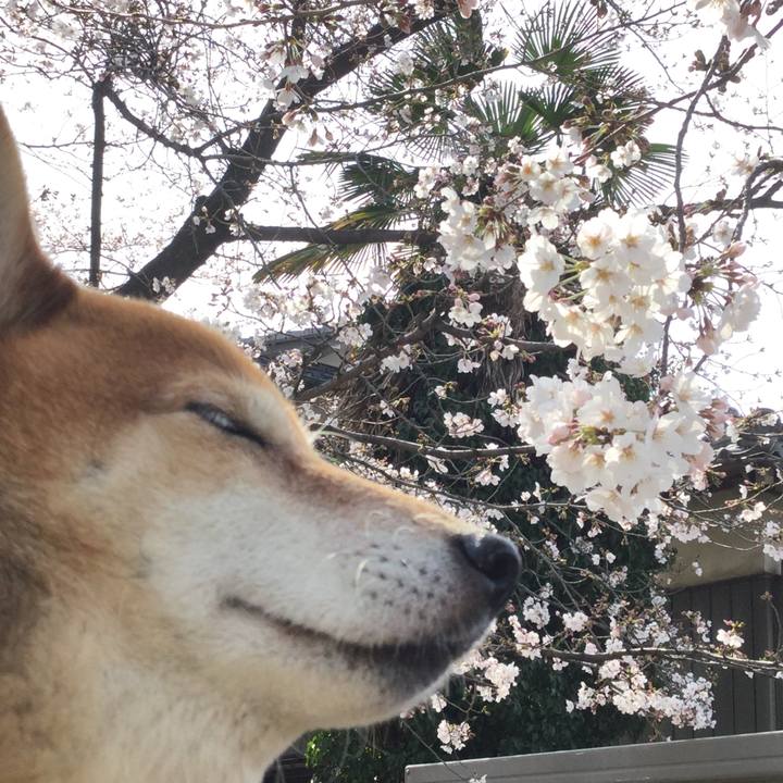 C5874f88 e459 4c84 8abe 2944bacb6950 1584848700243