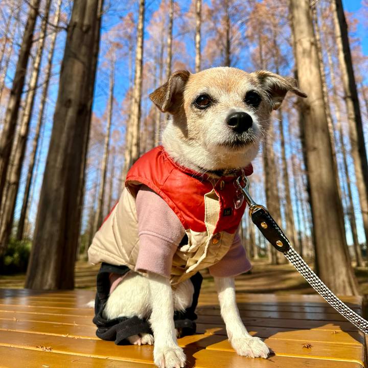 C58758a8 7cfc 427a 8a2d ceaeaf3f4be6 1672309595164