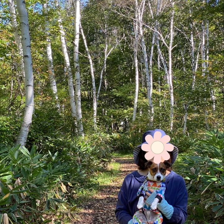 C587754f 1ee9 44f8 8b48 1b58a6bc0ac6 1633085064366