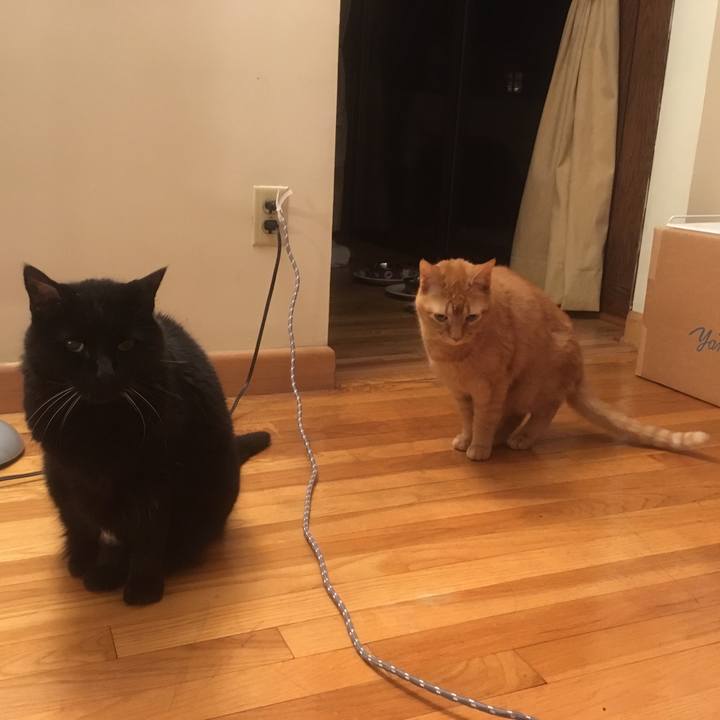 C587f77e 0cc4 4569 9c71 83818f264d84 1627778263648