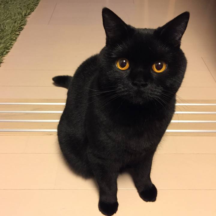 C5880f8f bc3d 4e9d a83d 98a35a2fd51d 1517832736251