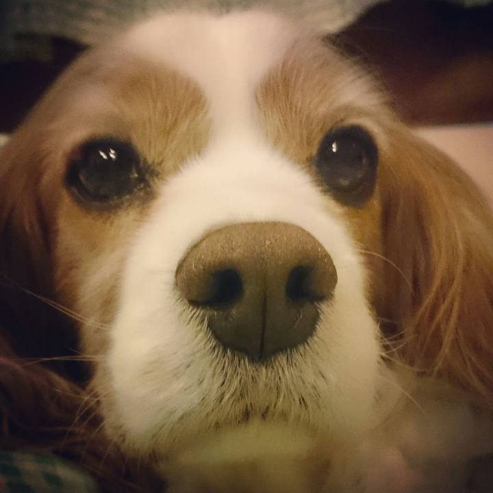 C588408b 7995 4214 a2ae 2494bd8ee57b 1519306086504