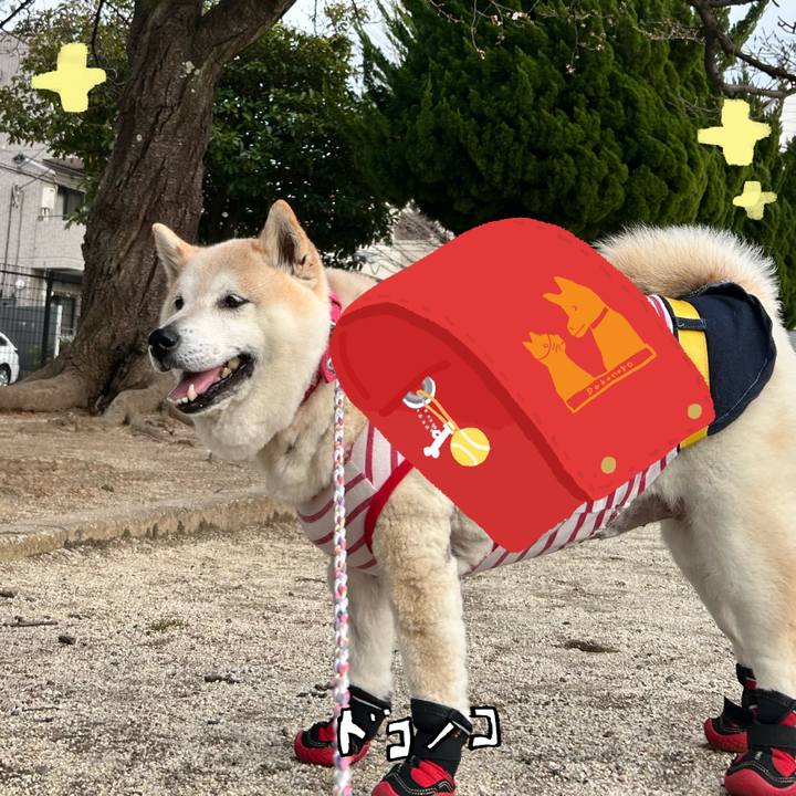 C5884b0b 00f8 4db9 85c6 fd0a91c99439 1744252701173