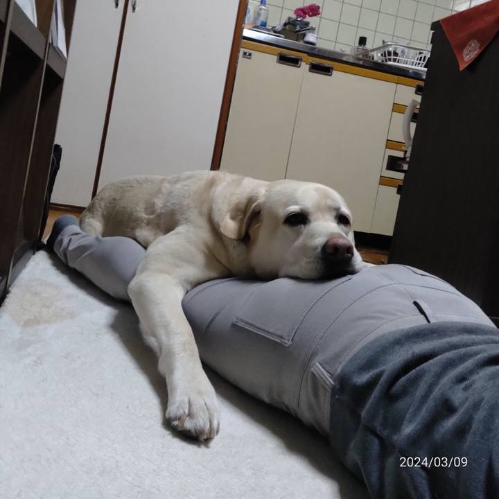 C5884d0f 9db1 4e2b 9e69 2f9375968d76 1709999649564