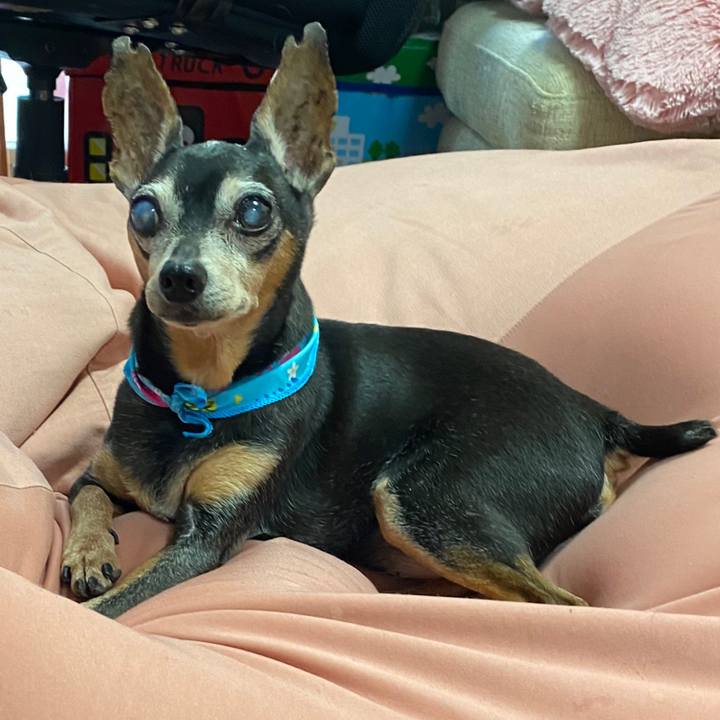 C5885236 3f24 4761 af32 328fb19e6ac0 1595937328287