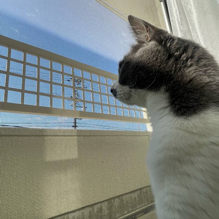 C5885e89 965f 4fd6 949f dbdd99f34ae7 1697066408789