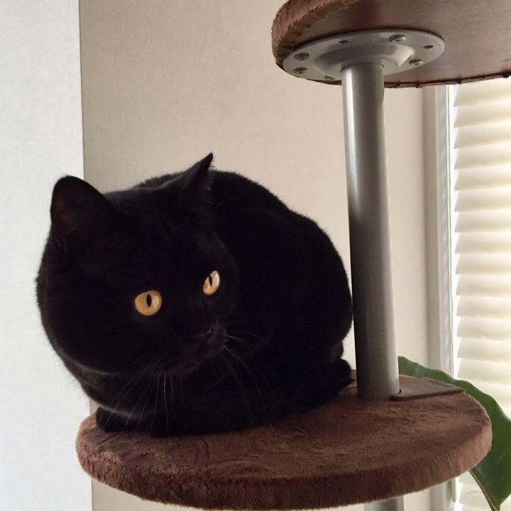 C5886432 556b 40cb 97be 13a5c87cd2b9 1580081337678