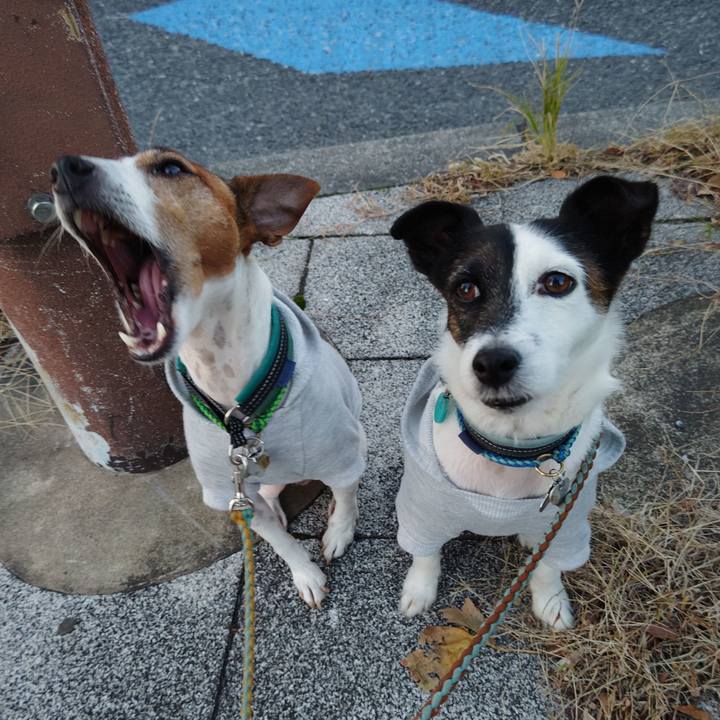 C5887328 9505 4486 a8cf 28b76c2000f0 1733435750671