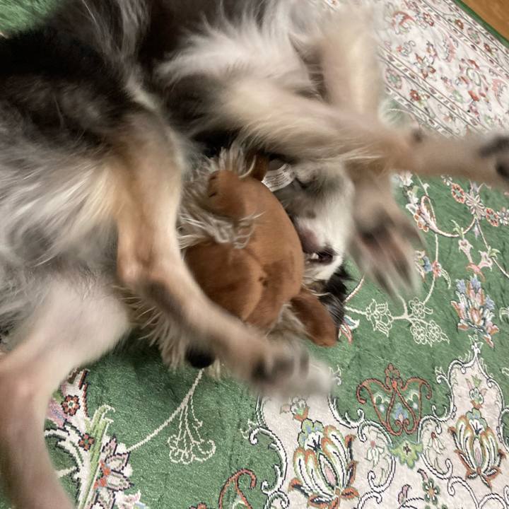 C588853d 35e8 4f24 be6a 0263a7c6ff89 1661674963130