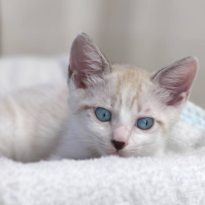 C588b623 da39 4117 bc17 37374f19262a 1599690851793