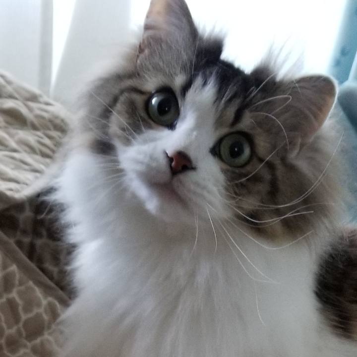 C588c44e 6279 4e91 ae11 add86e6fbea6 1589028147045