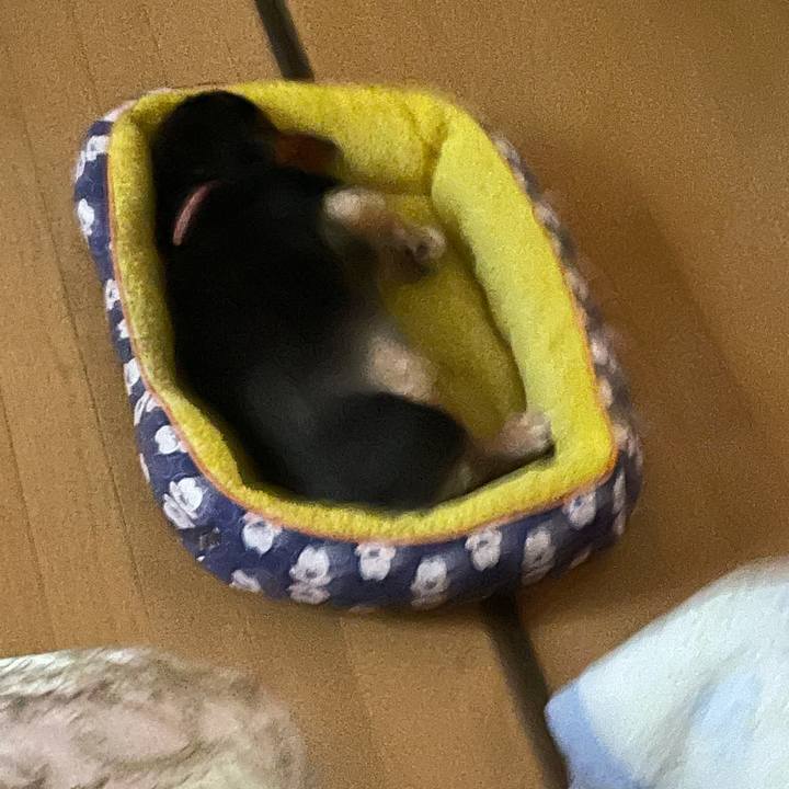 C588ca94 e7a3 44bd 992f 39e36d078e04 1627822262786