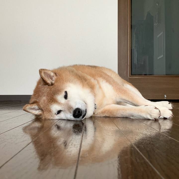 C5891205 e73a 462a a2eb 0caba0f313ae 1564193058989