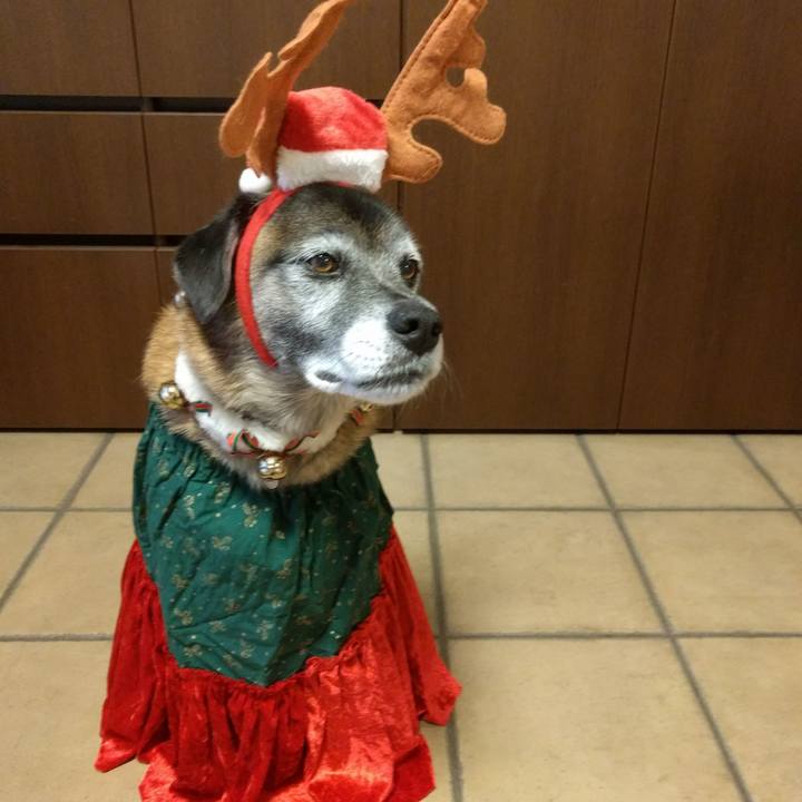 C5896b1c d4d2 4411 9737 0a56c4629c2d 1513676703796