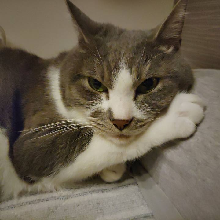 C5897195 bf07 454d 901f a4f295cfa1d5 1716080961371