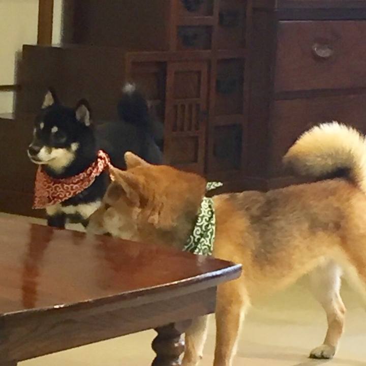 C58985d8 bb7f 41e3 b0d3 e1584206840d 1530171674419