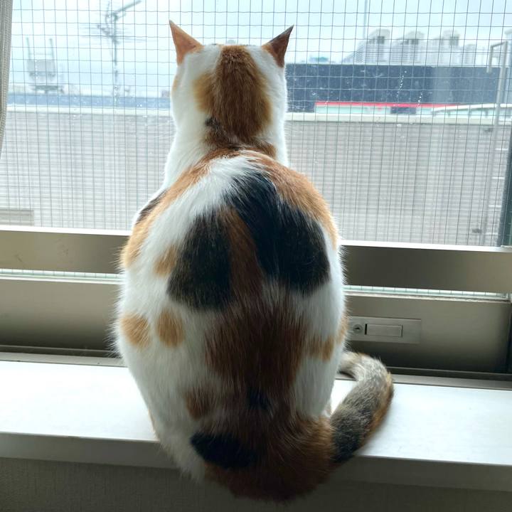 C5898870 6cd0 44ca 9351 f5ade4eb2add 1659583862711