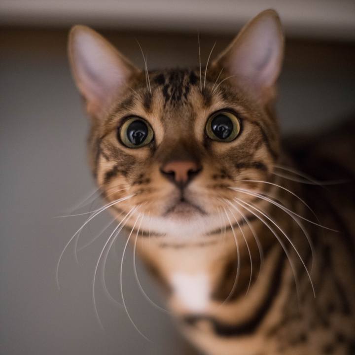 C5898cd6 5a34 42e1 bf85 d670f22512c4 1518019495076