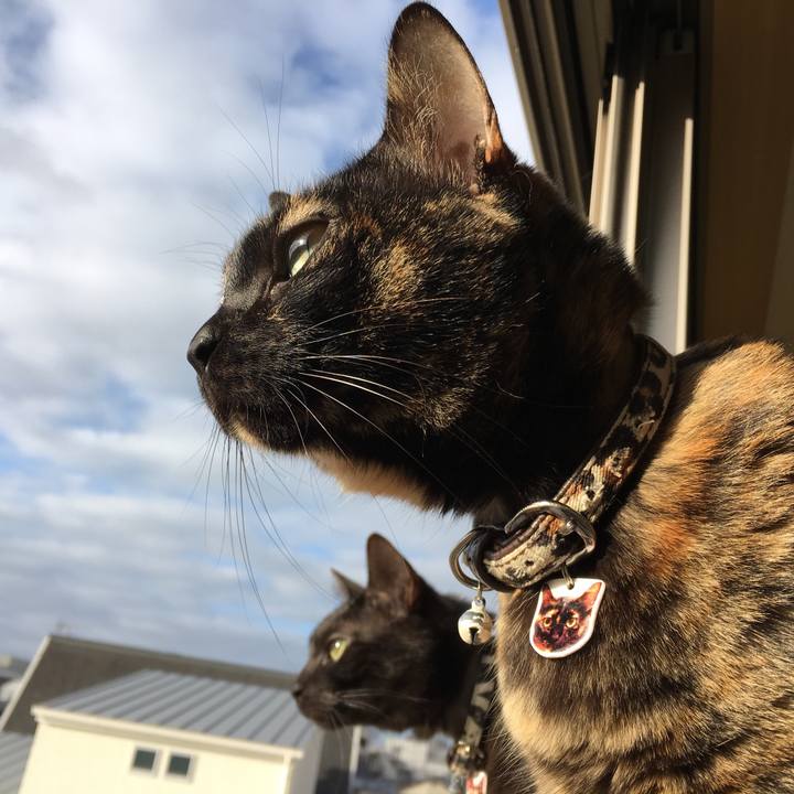 C5899339 c0fa 4111 b964 ef533b04d9d1 1520648453326