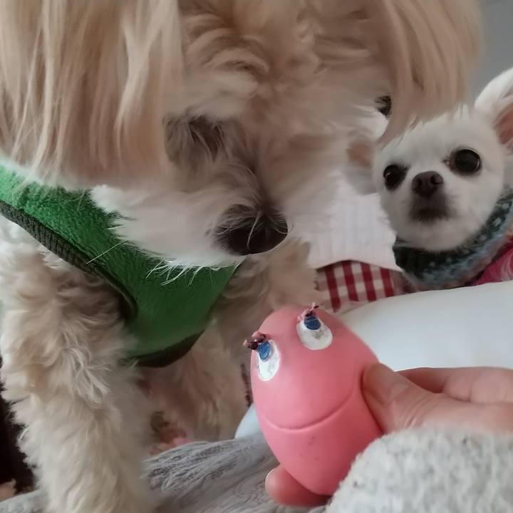 C5899efa 1460 4cd7 8d77 22875e7fbe33 1577998387965