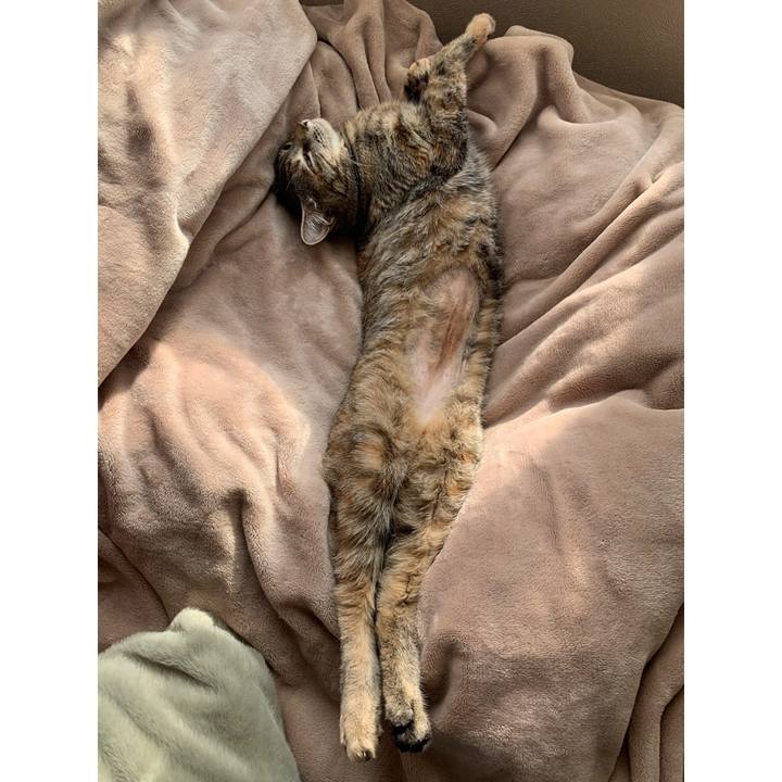 C589b3cf b74f 43f5 aaa4 439e2aa85575 1611206923332