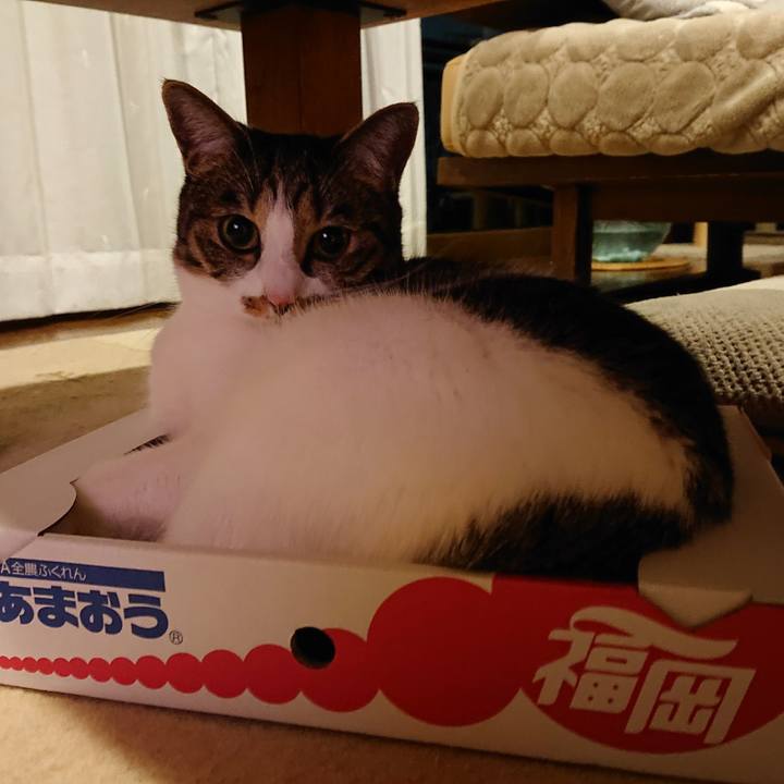 C589bd04 920a 4969 8051 10fec2dc7e87 1611834015207