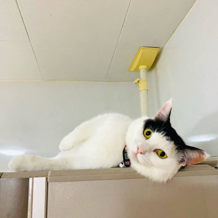 C589e82a c1d8 4f23 9bd6 4893c61633d1 1681994977846