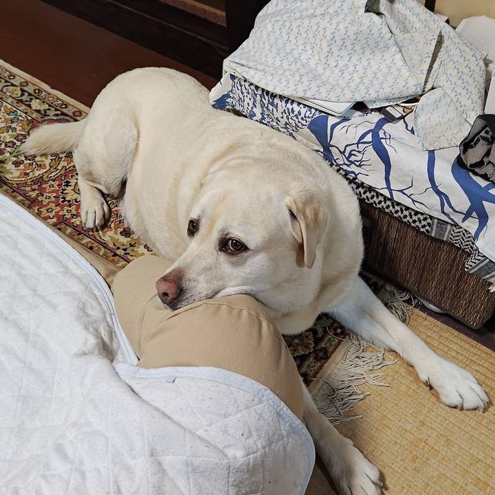 C589e955 d3ed 4152 8d60 41cc2a2978f3 1749199291446