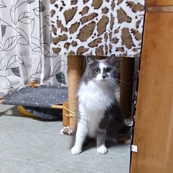 C58a2f38 bb58 4167 a9c6 289135742161 1761463803794