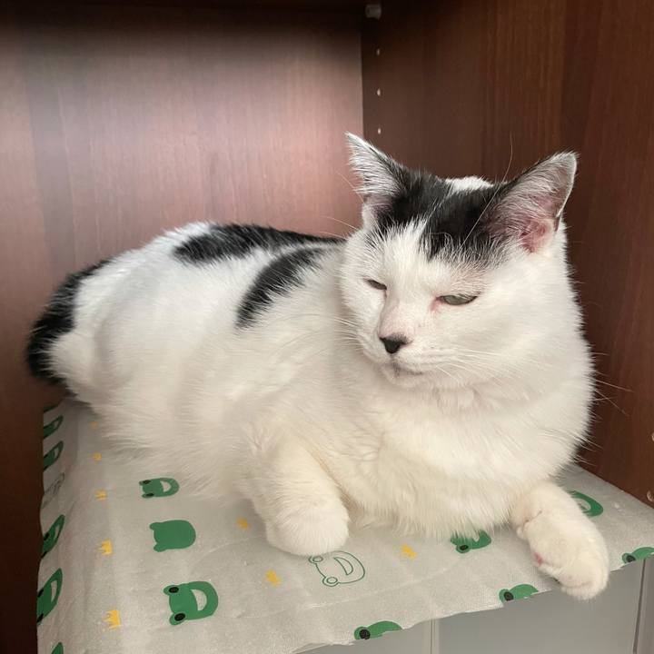 C58a3817 a3ab 4697 a6e2 6a083a080d24 1606028339585