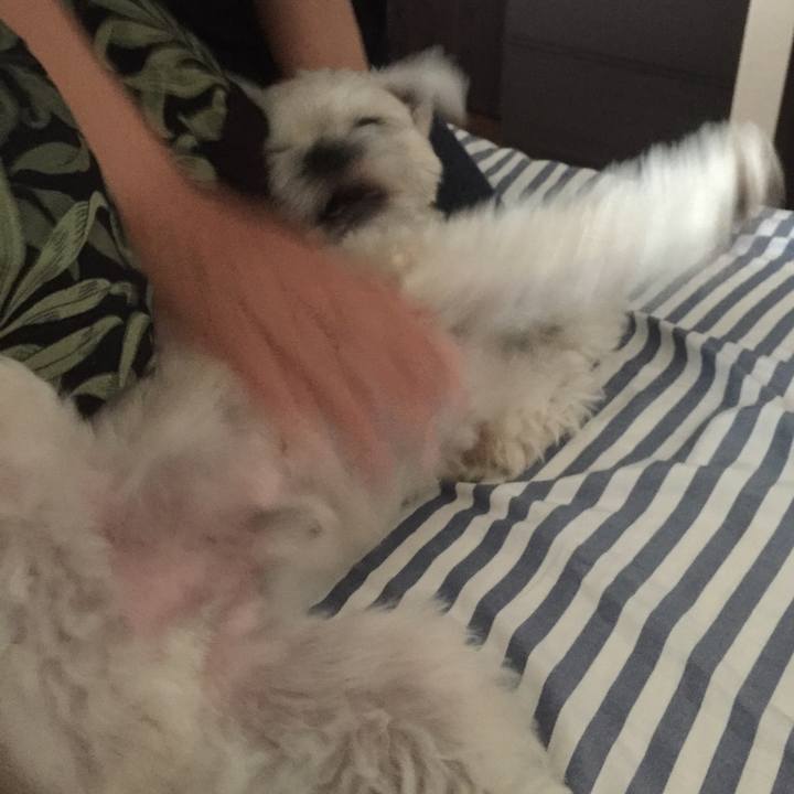 C58a622a a661 48ac add6 0c851084215c 1523762035968