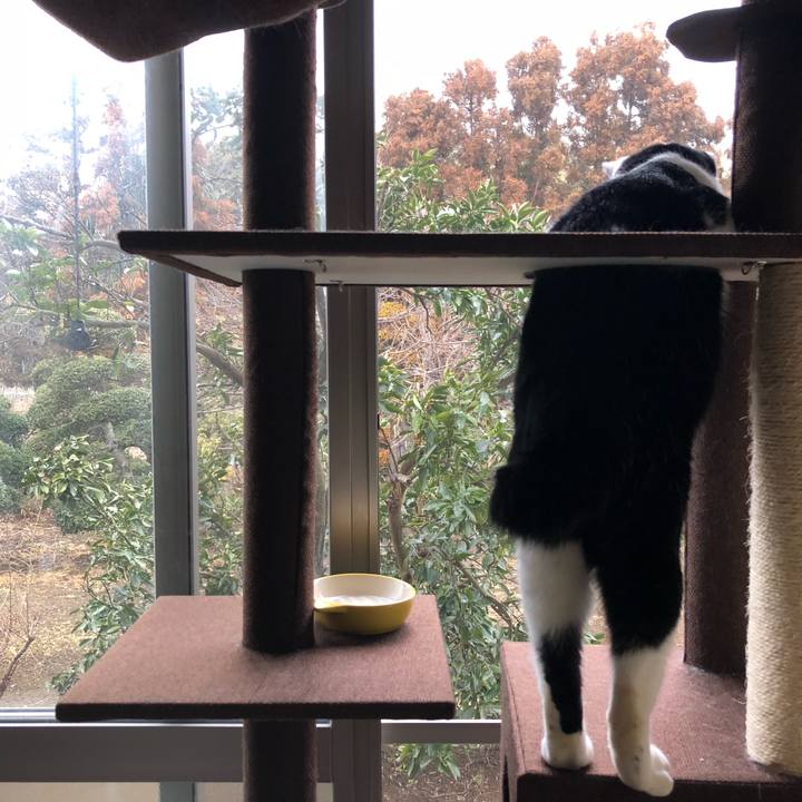 C58a79f2 b964 47ec 9c3d 01977adccfea 1549865976729