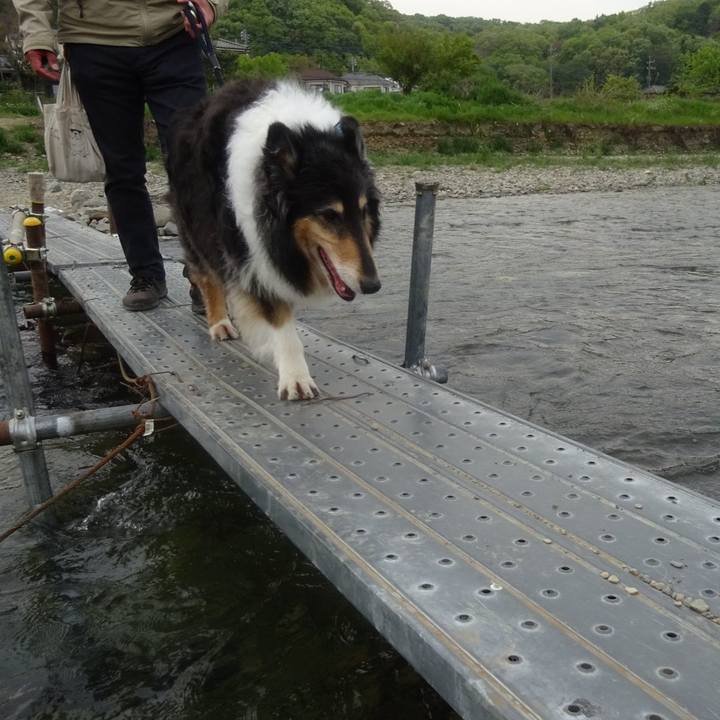 C58ac7d5 4ab0 471f 9f10 c58571b2b8f4 1587907029227