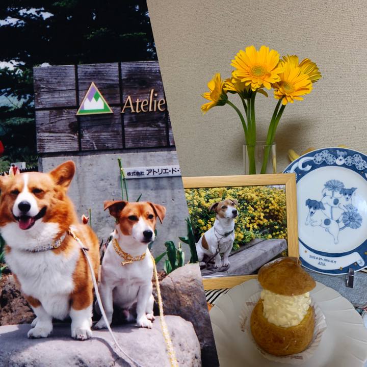 C58ae092 8b64 43ad 93d5 cc93d6acf2cd 1594639235340